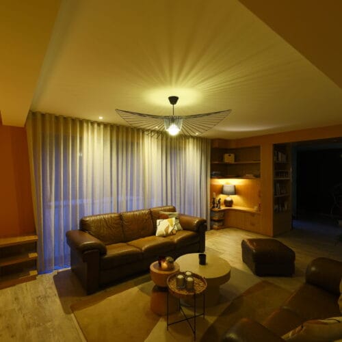 agencement bas cheminée et bibliothèque