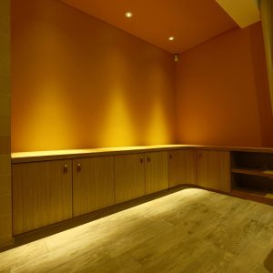 agencement bas cheminée et bibliothèque