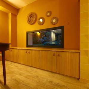 agencement bas cheminée et bibliothèque